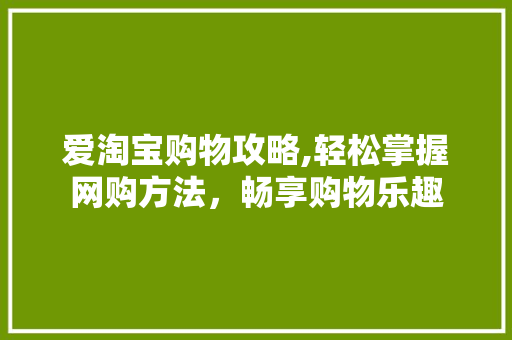 爱淘宝购物攻略,轻松掌握网购方法，畅享购物乐趣