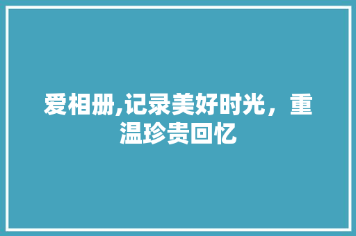爱相册,记录美好时光，重温珍贵回忆 Web前端