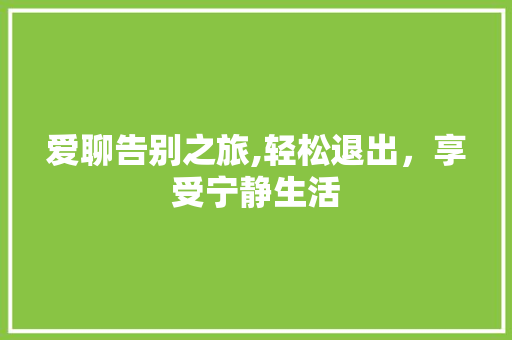 爱聊告别之旅,轻松退出，享受宁静生活