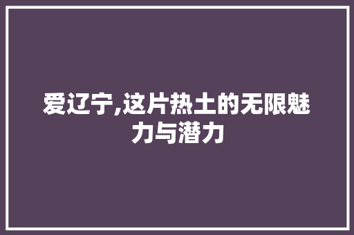 爱辽宁,这片热土的无限魅力与潜力 SEO教程