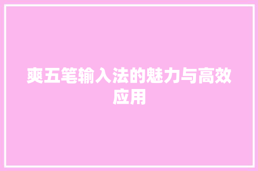 爽五笔输入法的魅力与高效应用