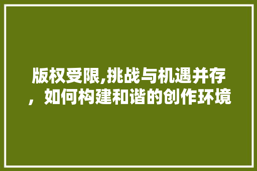 版权受限,挑战与机遇并存，如何构建和谐的创作环境