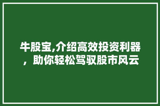 牛股宝,介绍高效投资利器，助你轻松驾驭股市风云