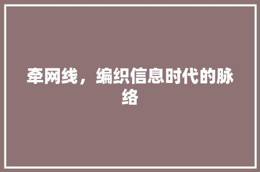 牵网线，编织信息时代的脉络 WordPress教程
