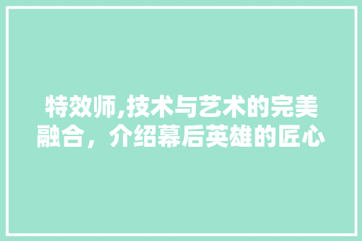 特效师,技术与艺术的完美融合，介绍幕后英雄的匠心独运 SEO教程