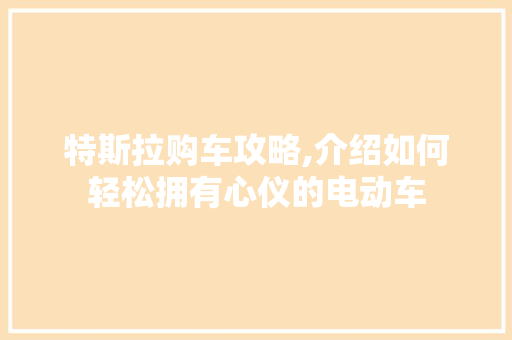 特斯拉购车攻略,介绍如何轻松拥有心仪的电动车