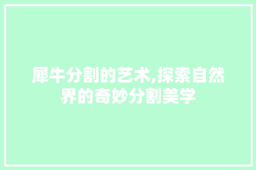 犀牛分割的艺术,探索自然界的奇妙分割美学 Web前端