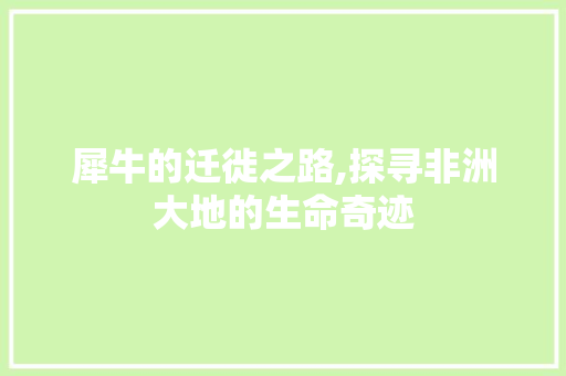 犀牛的迁徙之路,探寻非洲大地的生命奇迹 Web前端