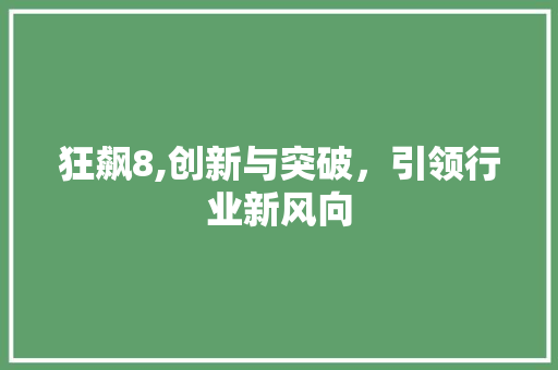 狂飙8,创新与突破，引领行业新风向