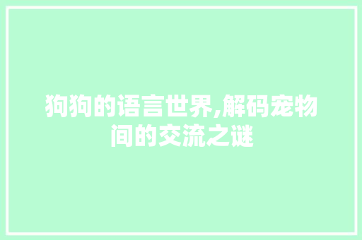 狗狗的语言世界,解码宠物间的交流之谜