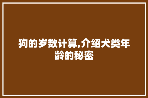 狗的岁数计算,介绍犬类年龄的秘密