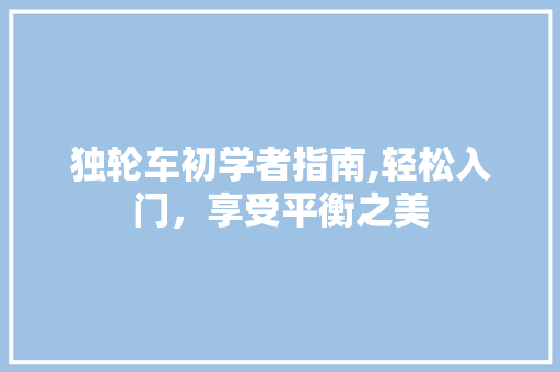 独轮车初学者指南,轻松入门，享受平衡之美 Web前端