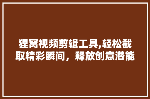狸窝视频剪辑工具,轻松截取精彩瞬间，释放创意潜能
