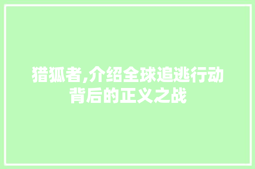 猎狐者,介绍全球追逃行动背后的正义之战