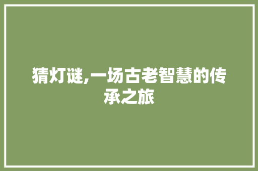 猜灯谜,一场古老智慧的传承之旅