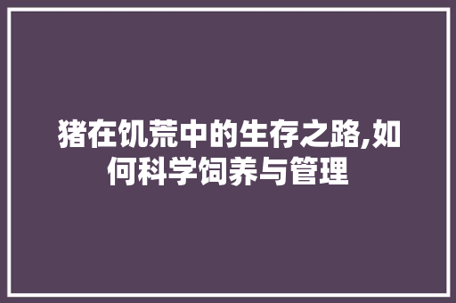猪在饥荒中的生存之路,如何科学饲养与管理