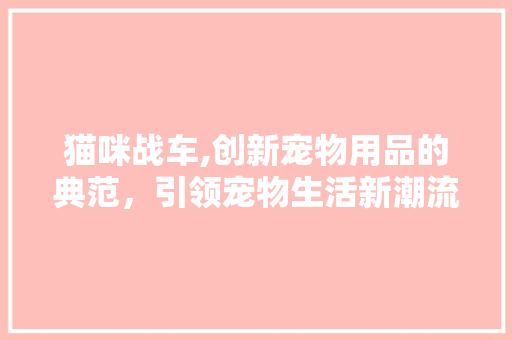 猫咪战车,创新宠物用品的典范，引领宠物生活新潮流