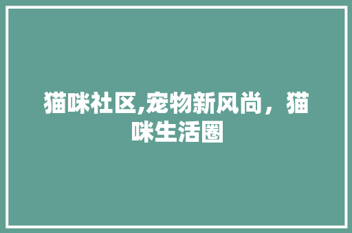 猫咪社区,宠物新风尚，猫咪生活圈