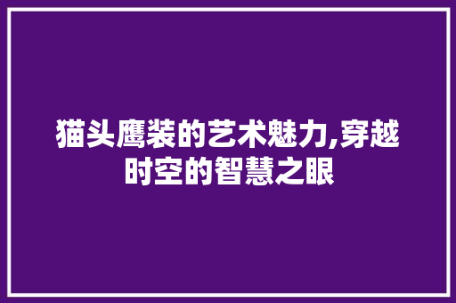 猫头鹰装的艺术魅力,穿越时空的智慧之眼