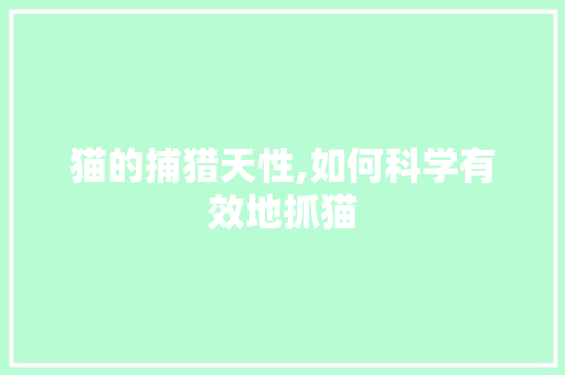 猫的捕猎天性,如何科学有效地抓猫
