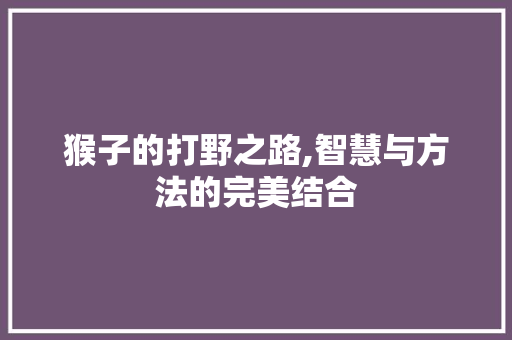 猴子的打野之路,智慧与方法的完美结合