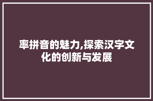 率拼音的魅力,探索汉字文化的创新与发展