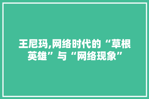 王尼玛,网络时代的“草根英雄”与“网络现象”