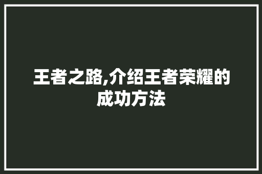 王者之路,介绍王者荣耀的成功方法