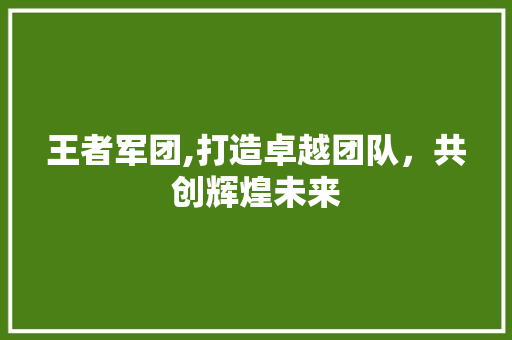 王者军团,打造卓越团队，共创辉煌未来