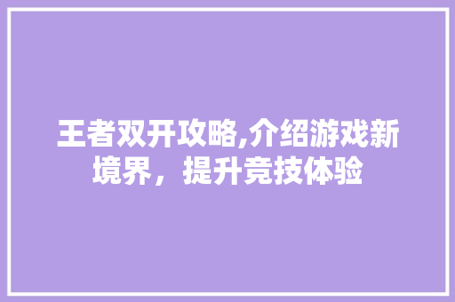王者双开攻略,介绍游戏新境界，提升竞技体验