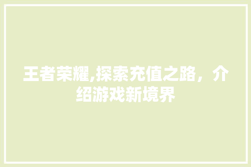王者荣耀,探索充值之路，介绍游戏新境界