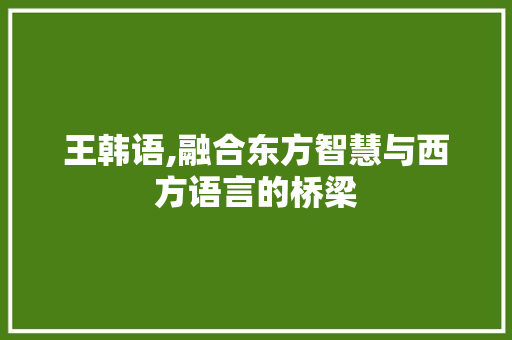 王韩语,融合东方智慧与西方语言的桥梁