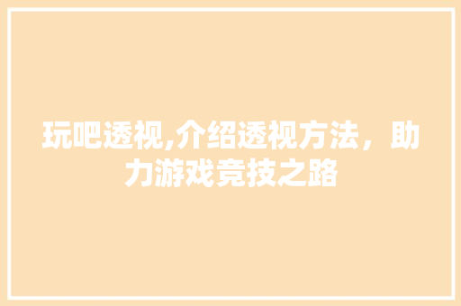 玩吧透视,介绍透视方法，助力游戏竞技之路