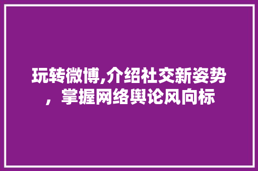 玩转微博,介绍社交新姿势，掌握网络舆论风向标