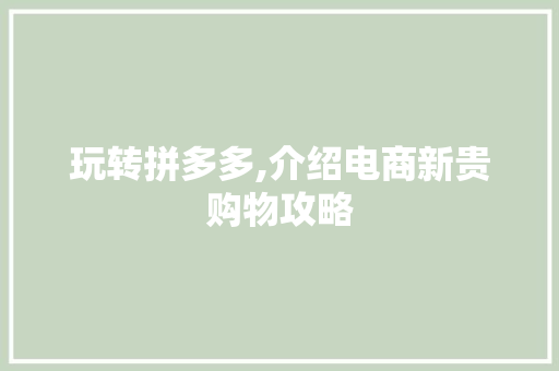 玩转拼多多,介绍电商新贵购物攻略 WordPress教程