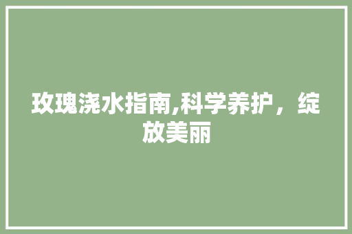 玫瑰浇水指南,科学养护，绽放美丽