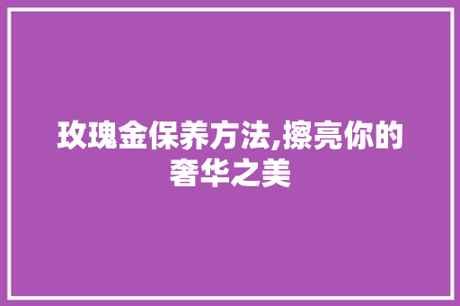玫瑰金保养方法,擦亮你的奢华之美