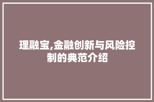 理融宝,金融创新与风险控制的典范介绍