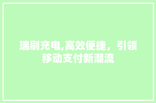 瑞刷充电,高效便捷，引领移动支付新潮流