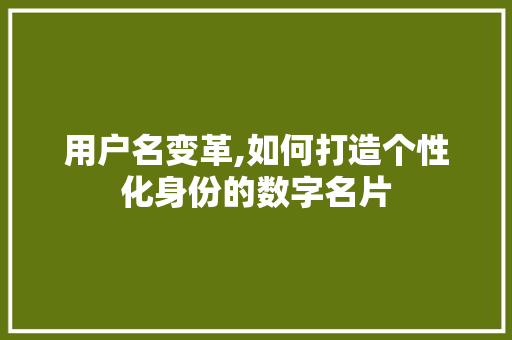 用户名变革,如何打造个性化身份的数字名片