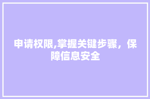 申请权限,掌握关键步骤，保障信息安全