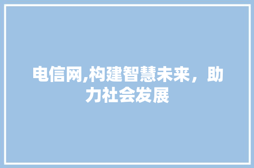 电信网,构建智慧未来，助力社会发展