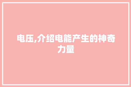 电压,介绍电能产生的神奇力量