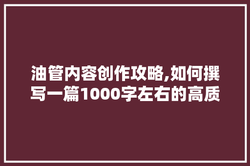 油管内容创作攻略,如何撰写一篇1000字左右的高质量文章 SEO教程