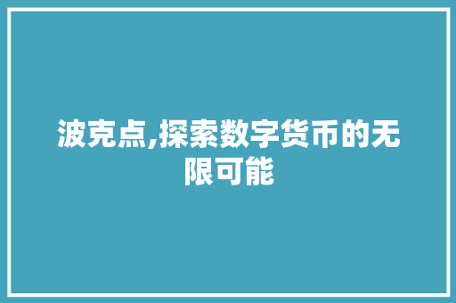 波克点,探索数字货币的无限可能