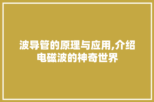波导管的原理与应用,介绍电磁波的神奇世界 Web前端