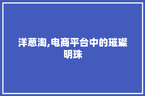 洋葱淘,电商平台中的璀璨明珠