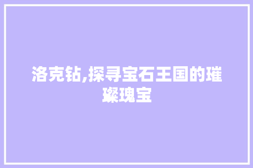 洛克钻,探寻宝石王国的璀璨瑰宝