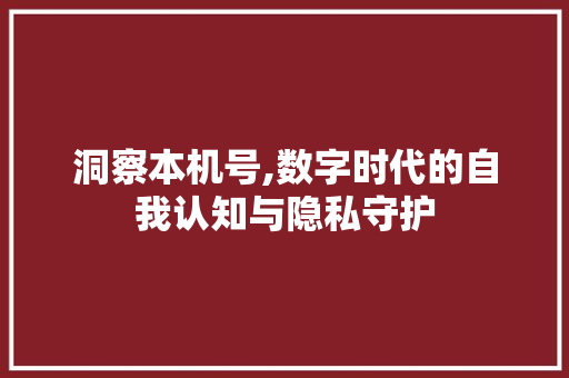 洞察本机号,数字时代的自我认知与隐私守护 友链在线