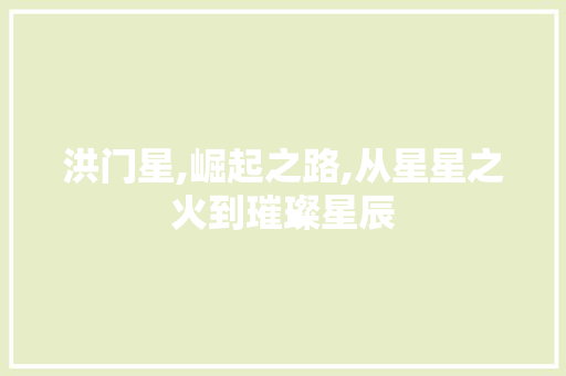 洪门星,崛起之路,从星星之火到璀璨星辰 Web前端